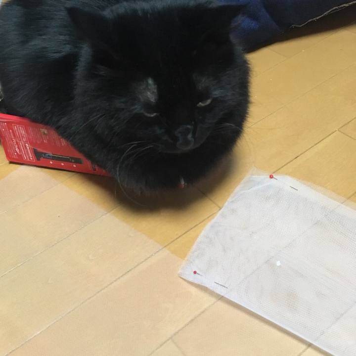 2813603e 7cc0 4e7a bdce 0130960d63df 1520259190269