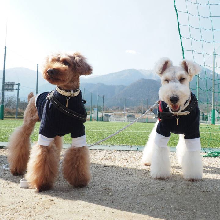 281367c6 df96 4487 9b74 21fc77fa632f 1550999632816