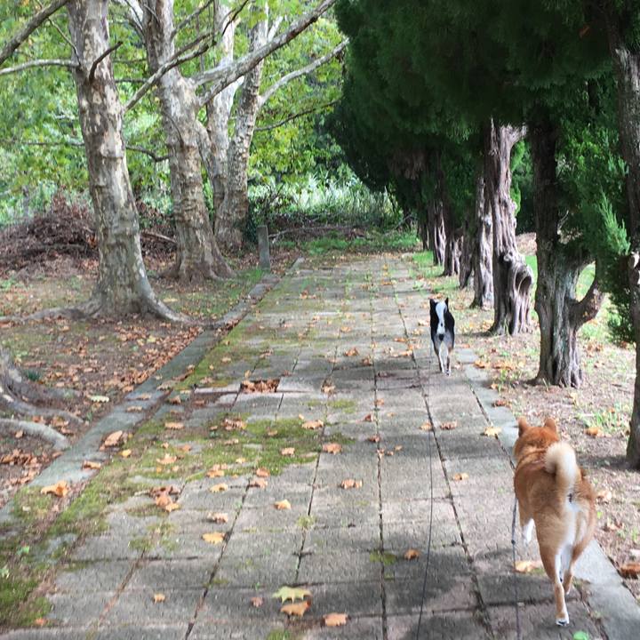 28136eba 1927 4148 acff 3f1aa1a1b700 1540030014296