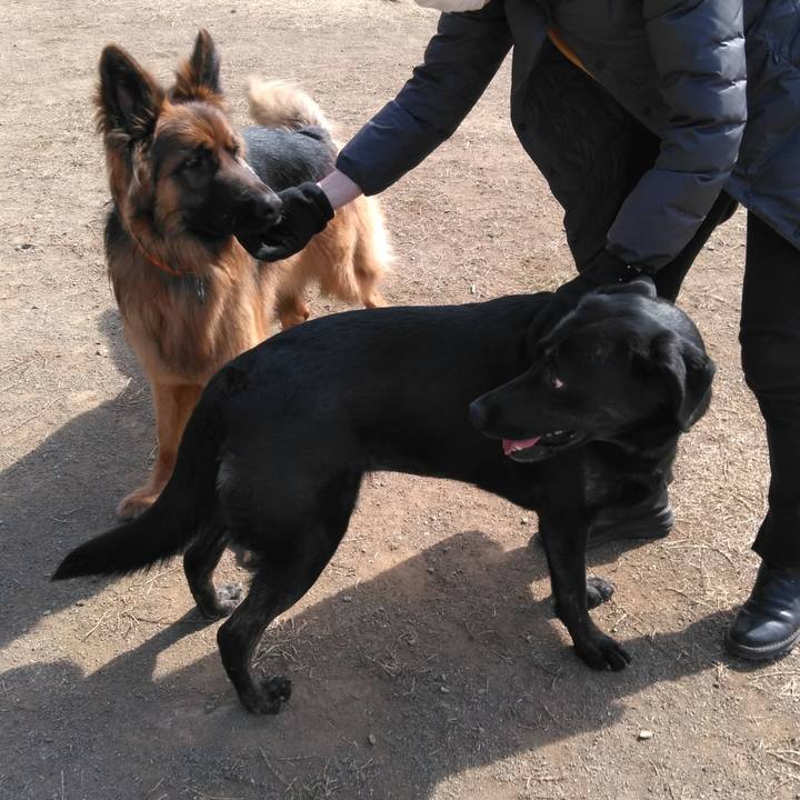 28138a52 4733 4994 9b1c 6274d54a8bec 1583038175348