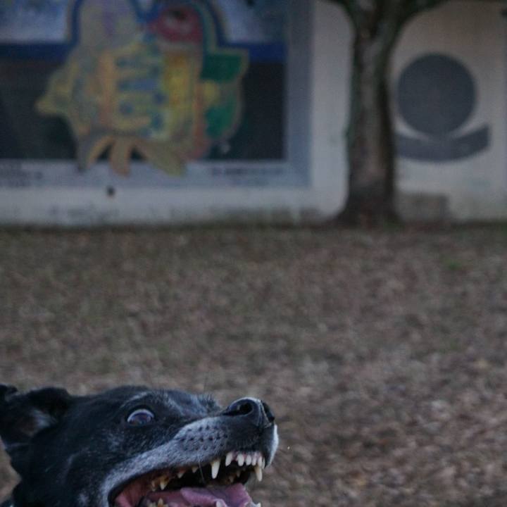 2813c51b 0882 4932 93f8 c75e1fc8ea49 1771201018583