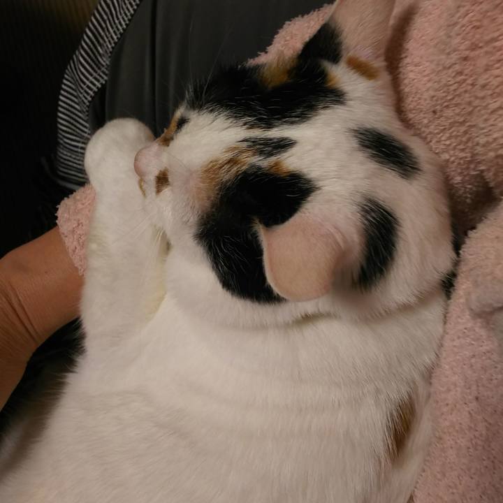 2813cf74 a1a6 4e22 9c61 29e22b21cf9f 1559999778337