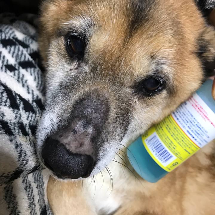 2813ee24 da84 4b41 ac0a addb4a8d21a3 1551598256242