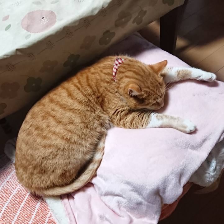 2813f9c4 e8e1 491f b434 6f9bb3c4732f 1608674003709