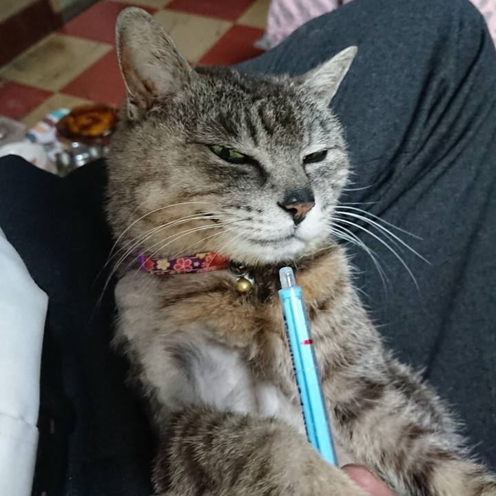 281409d2 b9ce 4e53 aa18 7c2ea01a7cd3 1590443093998