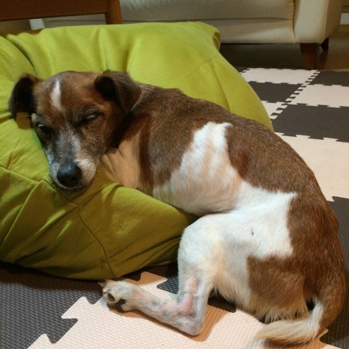 2814362f 34c1 4af2 9905 ebd91ba69843 1524057570211