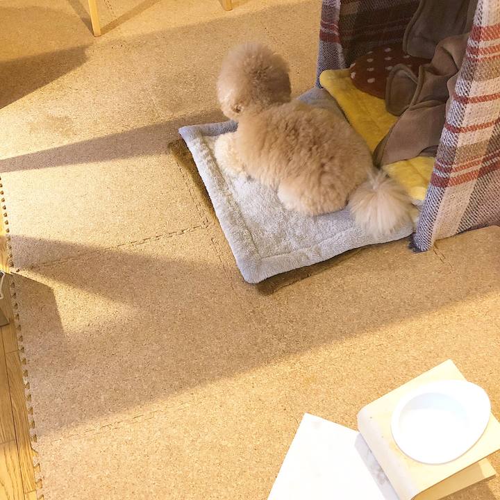 28143b73 dc78 499a bb60 f0fe9a883169 1522056492278