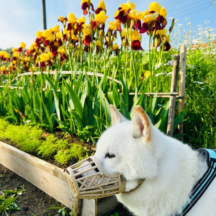 28146d67 42c7 4f3d 975c 5906f6dd8b90 1686432554817