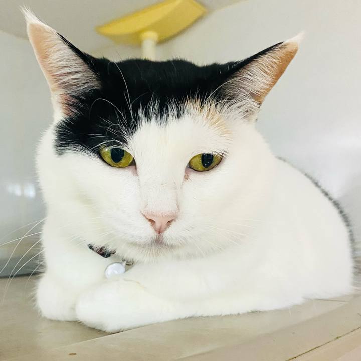 281489f0 eaec 4f91 b70f 9c8277116c45 1687386348099