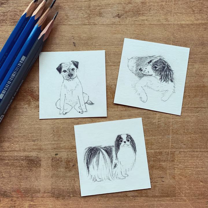 2814c366 699e 4bf9 be63 ac36bfa9d76b 1678349635856