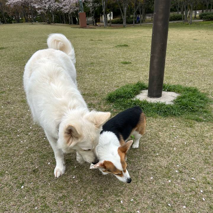 2814d376 8c0c 48a7 a222 ca20936ec02c 1775537694540