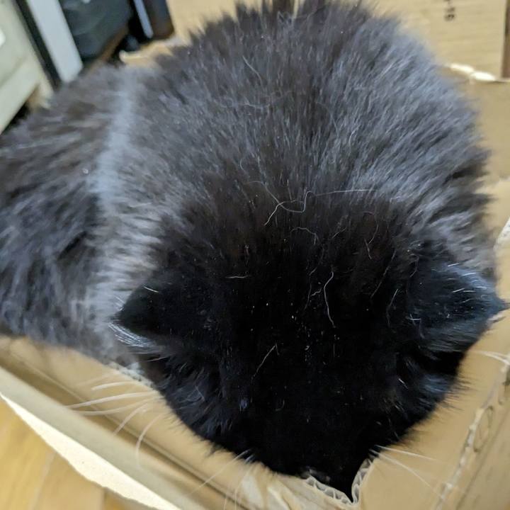 2815435b 3d60 47e9 b4e4 5c3f4df29db7 1681387013434