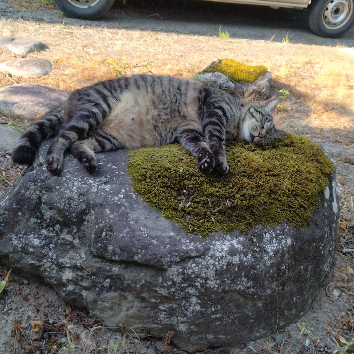 281566c9 7336 4613 9588 2cb4af92d787 1690616796891