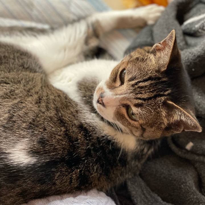 28158030 0613 4dbe a39f 32c700621469 1654307822438