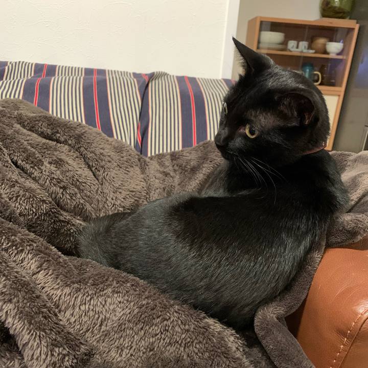 2815b93f 4d9d 4ae3 8cd1 6fc59dc4e2f0 1571488089964