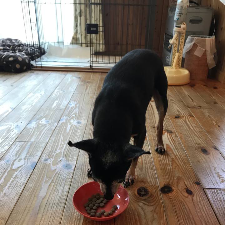 2815cd7c 8255 4397 974b 632bb1fb0736 1566007067097