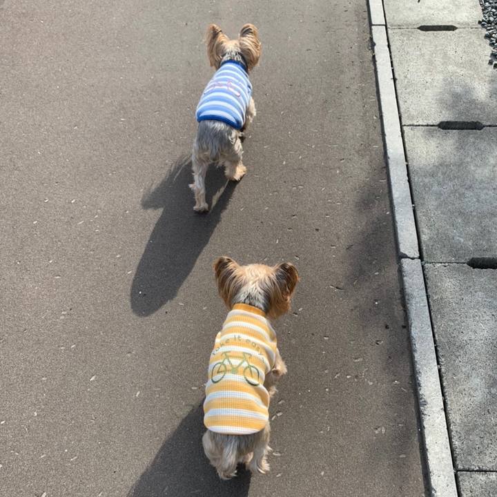 281624bb ebcf 48a2 b1e4 597c214cdfd3 1632736849944