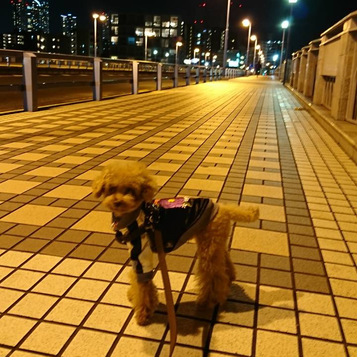 28165c82 42d3 4d89 99e0 51db8cfce1f0 1508942765967