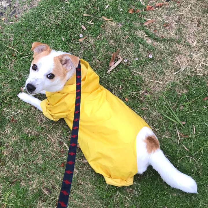 281660f9 94a0 4825 b463 aa5472e0cf1a 1557795772285