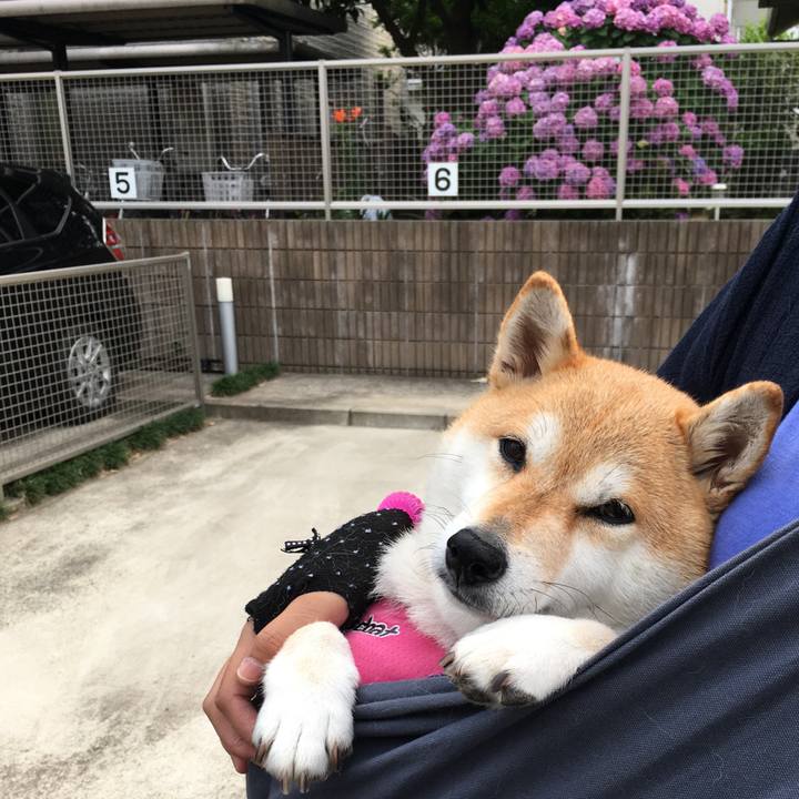 2816b531 dbee 4e42 86ae 2aca91df6472 1561025897109