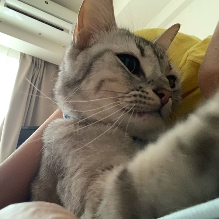 2816ba52 9d7a 4907 a76b 05afa6d95922 1566611192485