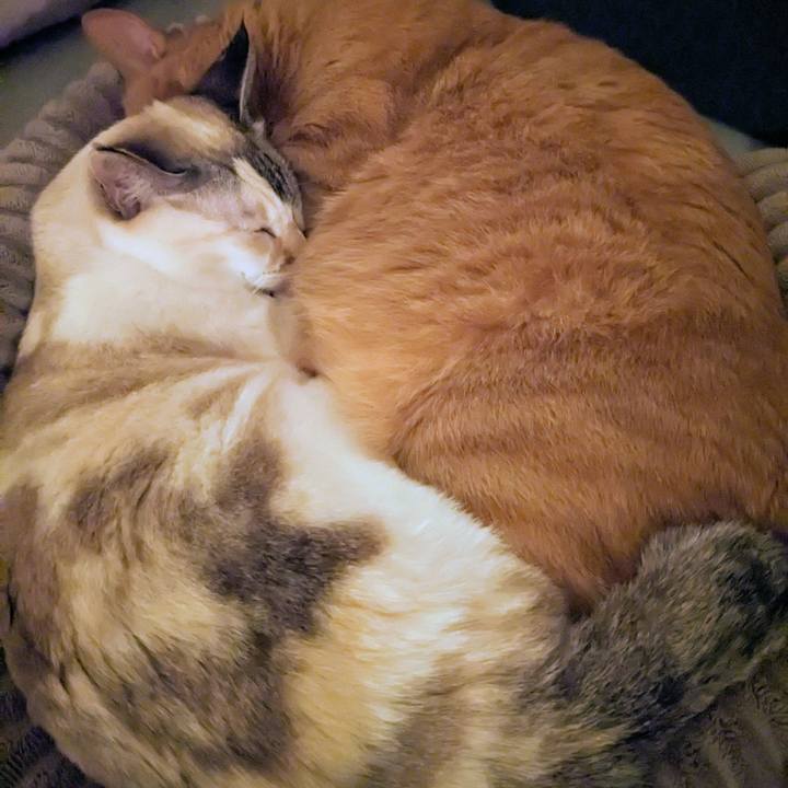 2816c753 91b2 4768 9048 167db91cac5b 1775915211224