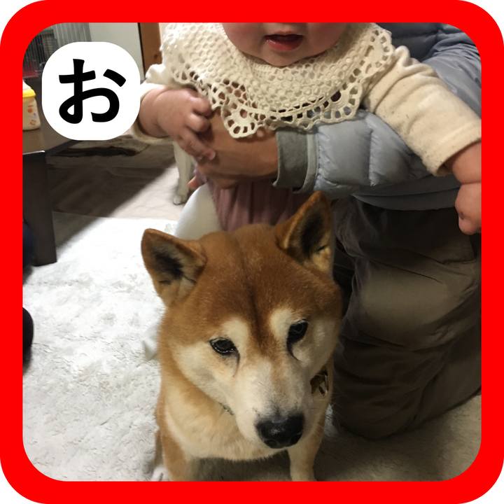 2816c8f7 7662 4f87 acb5 8f79e78a1eff 1514959638960