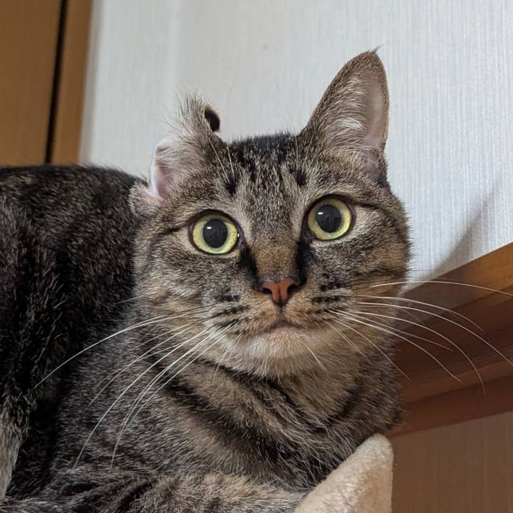 2816eef7 0849 4f4e be42 458b1c251fe4 1740362438471