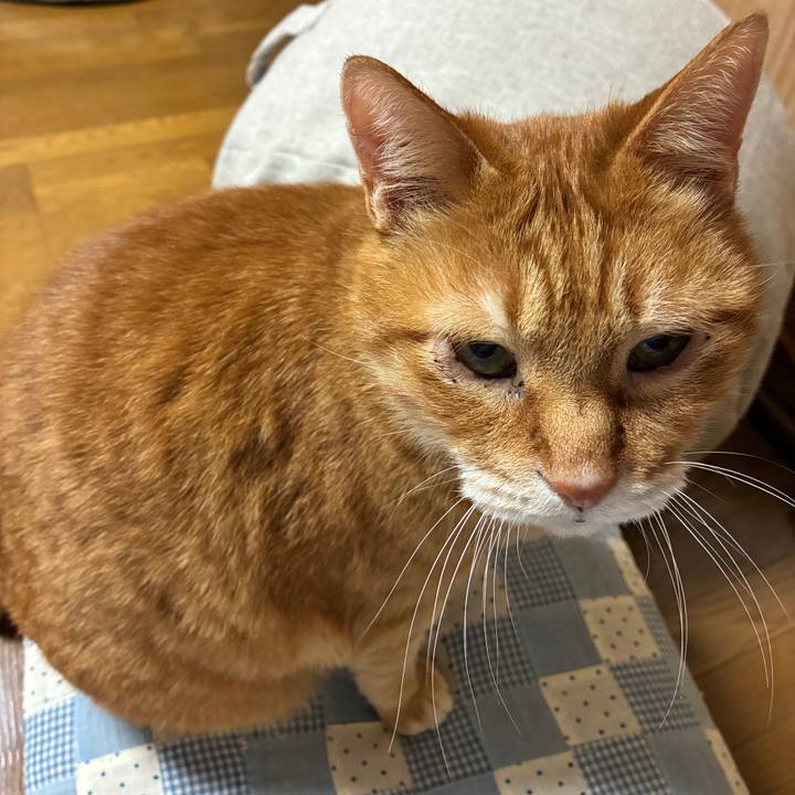 28170f3a 7f8d 47d0 9c40 fec83103a7e1 1768388998639