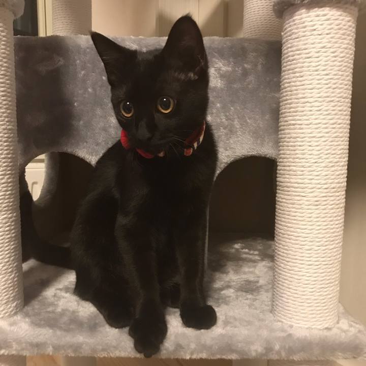 28171eeb c496 429f ad90 7e66fcb0ac44 1665446462682