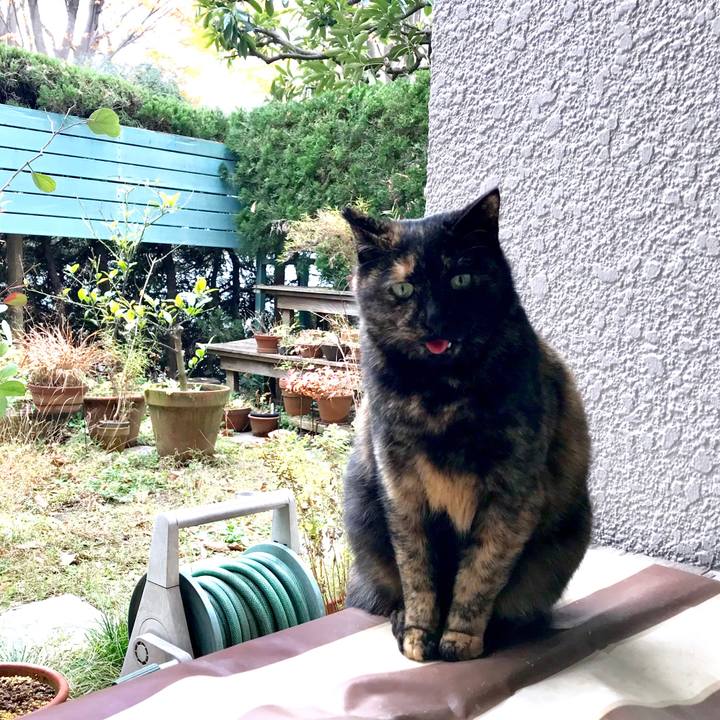 2817267b 0cfb 4b1c 961a 42b361469d9a 1512703424070