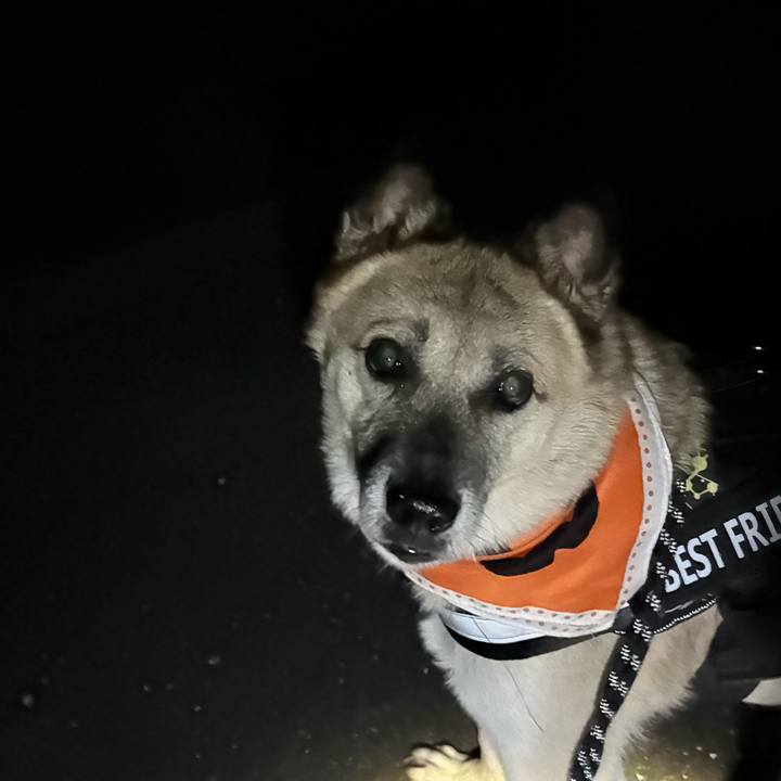 28175588 87f9 426d 93c5 69e5d0577b7f 1761569650387