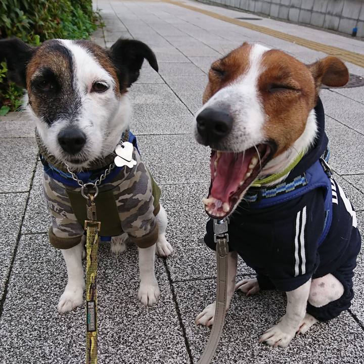 281792e1 cf54 4c95 8e5c 2bc211bffc64 1603668876211