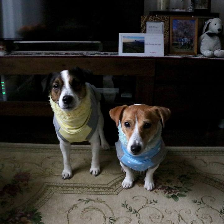 281795aa b853 4bc0 aed4 56acdc9c0e61 1514696206540