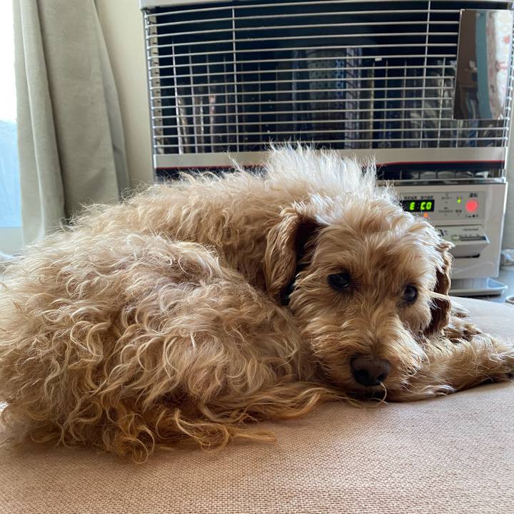 28179ab5 a021 4ca6 a611 7d1ef1aa8019 1644277455746