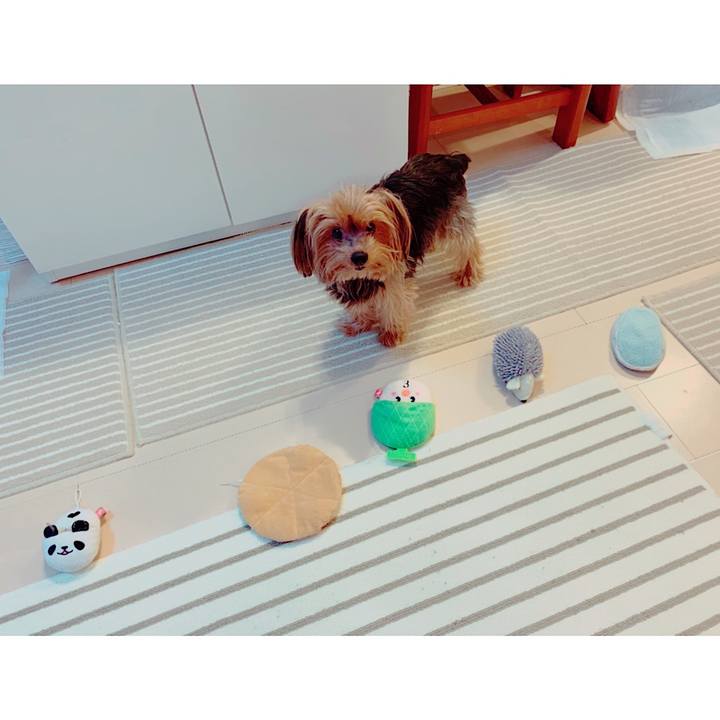 28179e66 773a 48f8 94a7 2a7763edee57 1582603737487