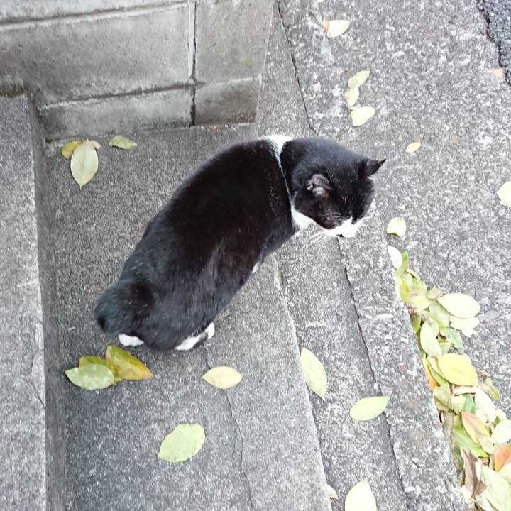 2817d350 2941 4d83 81bc 8431be837c05 1672045944481