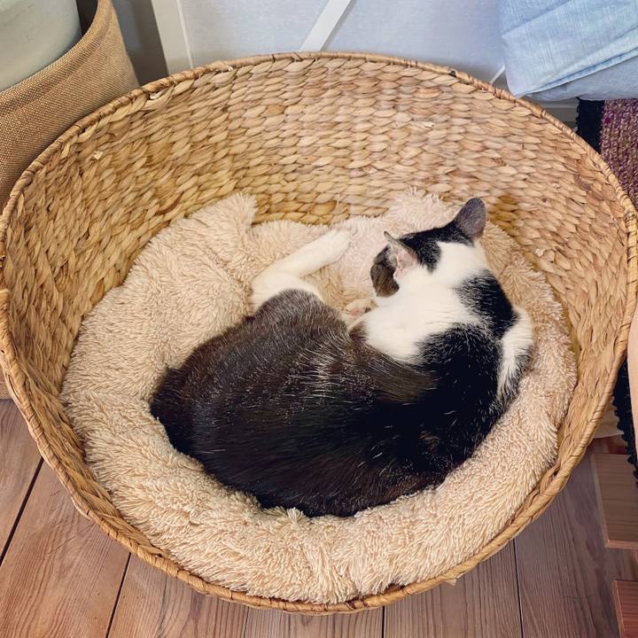 2817d8c6 abda 49d4 b07d e71ed20ad840 1622542402818