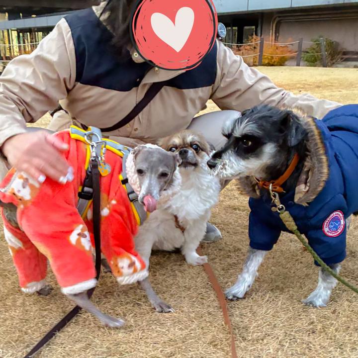 2817d9d6 6918 4726 aed1 50b243269d0b 1767609810247