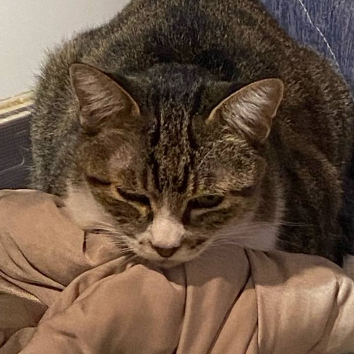 2817de73 5a4d 48a0 859f 542bd75c1da4 1695471240198