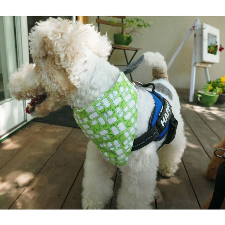 2817e803 861e 4474 a7f4 9b4dec0945e5 1525018499477