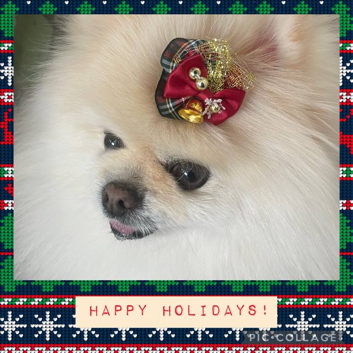 281821a0 aba0 4bc6 9d58 33d10c41e8b5 1734066029102