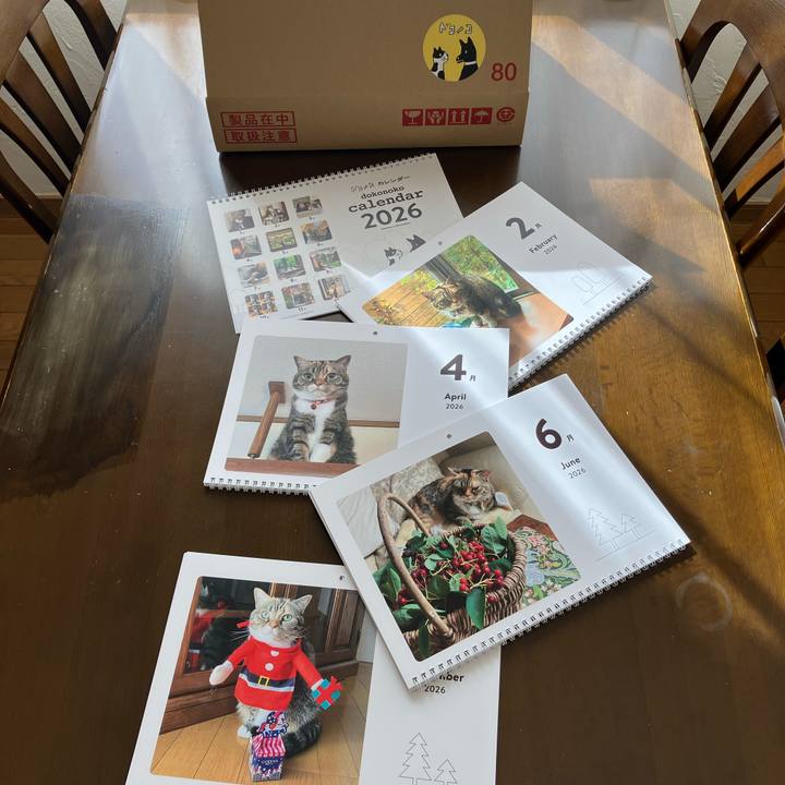 28187059 6593 49d1 8a92 6c13ca156efd 1765594628319