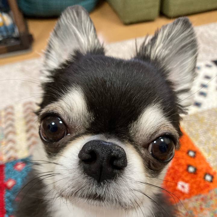 281872e0 ca44 4520 a8f5 0f43c2f8ac44 1682116791902