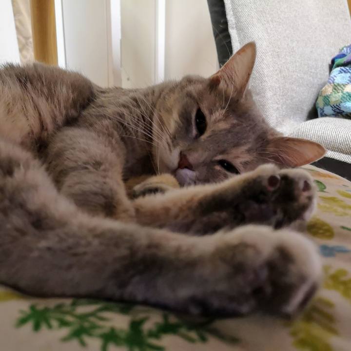 28188147 7470 4c40 880a 1af1404ffeda 1564067971490