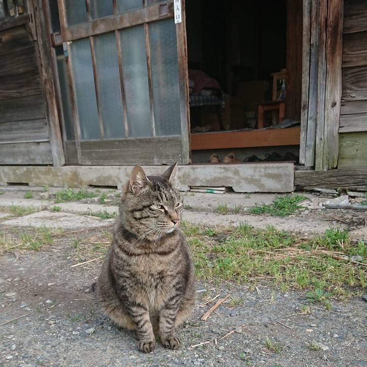 281895b3 ea38 43da afca c30872203456 1654289119995