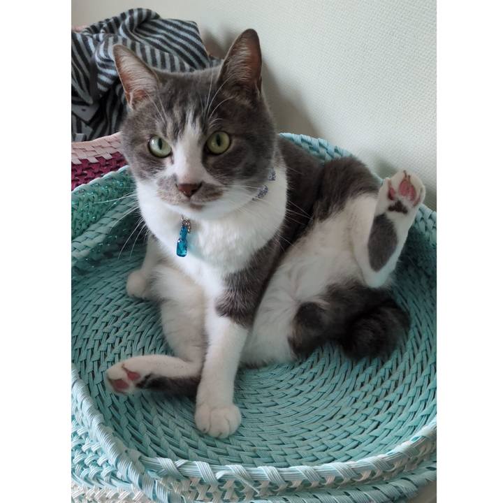 28189e1c 16df 46e3 89b6 66cf08b14a32 1747558576360