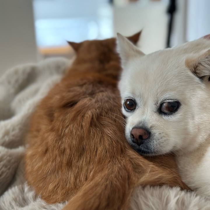 2818affa 3469 4288 b185 3bfbee993872 1760481061924