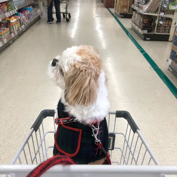 2818bb8a 22f2 4c8b 9c6f 7e1ff849acff 1617141723952