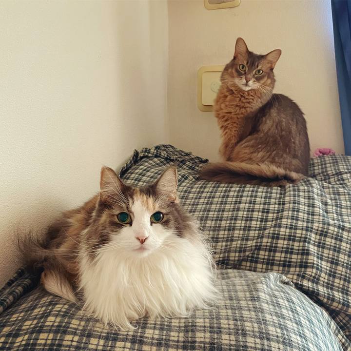 2818cf27 35d6 4f53 aa08 72c79db9e43f 1697366908363